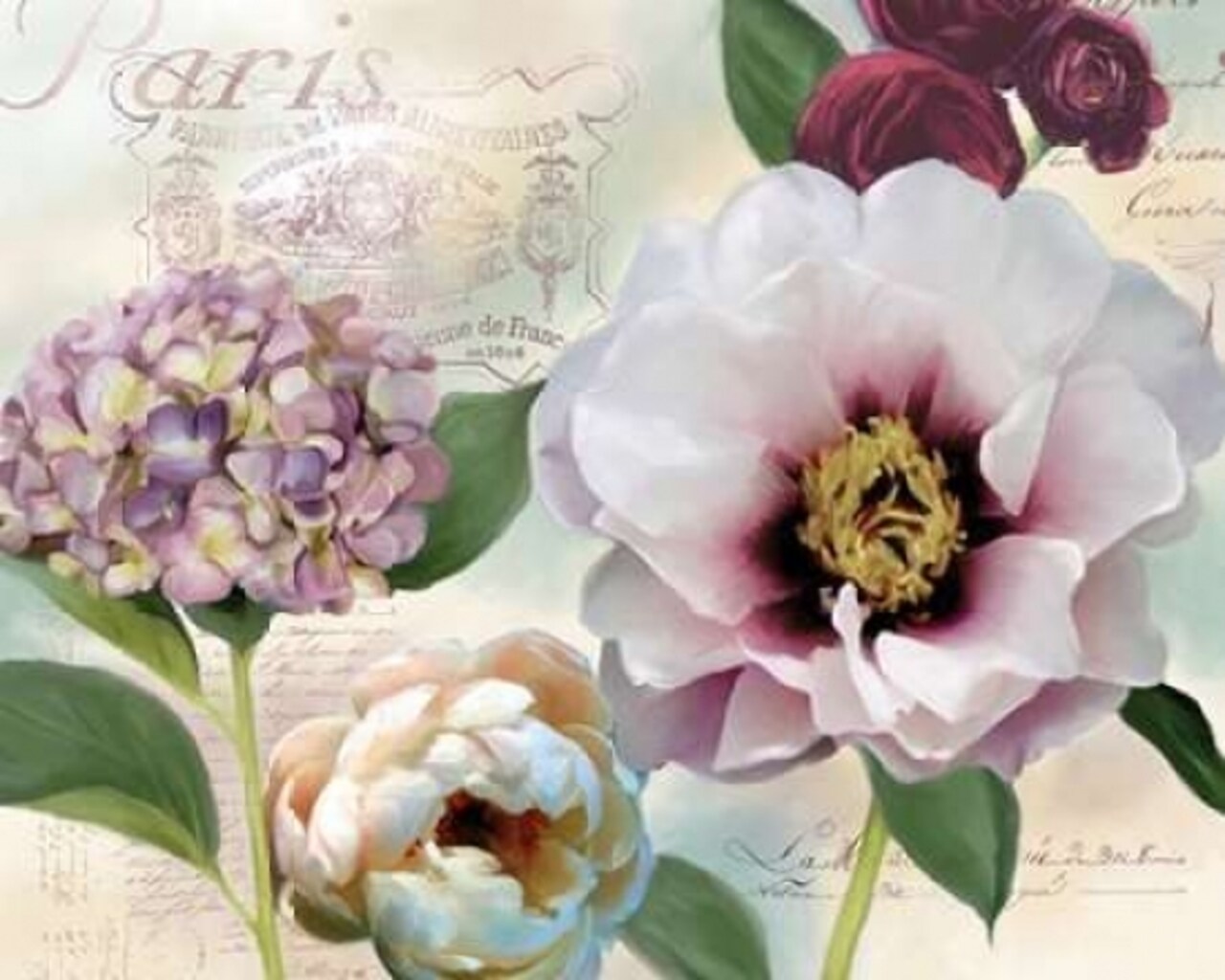 Soft Petals I Poster Print by Carol Robinson - Item # VARPDX15175